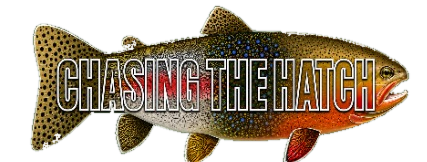 Chasing the Hatch fish logo